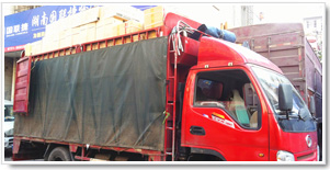 ����ҽҩ����