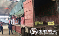 国联物流 装货上车 国联物流 装货上车
