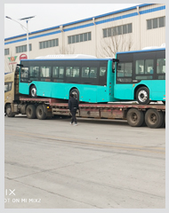 ��������  ��������