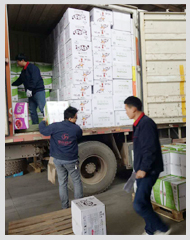 ��������  ��Ч�淶