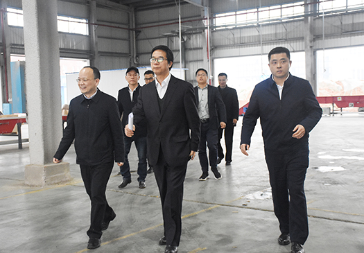 湖南省交通运输厅领导一行莅临株洲市现代综合物流园考察指导