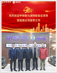 中物联、湘物联领导一行莅临国联物流考察 中物联、湘物联领导一行莅临国联物流考察